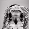 7li.s7