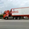 thanhtuy01