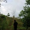 aidilsulvan