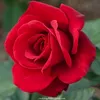 dy983he8wkrb