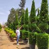 حدائق طرابلس Tripoli Gardens