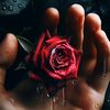 heartbeats239