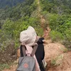 nk_7798