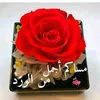 user93682167762583