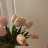 m.alanezi7