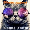 fores1t_