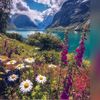 shadi_172