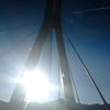 desconocida_2711