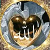 falah.saed11