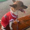 kakauzinha_e_melzinha