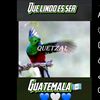 mardoqueo_gomez