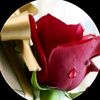 um.hussain973