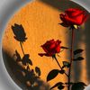 privatee.111