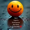 sarita.com270