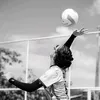 eulary_silvaa