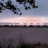 kastamonulu_0037