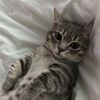 clawruu