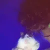 hxll͏‍