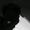 diego_26.r
