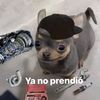 ogcar_g