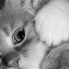 kyoonw_