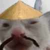 lililimi5