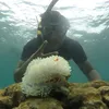 masadhiw