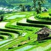 tirta_kencana
