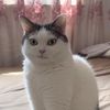 hiibyeme