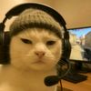 scorcat12