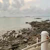 _ocean.tnbt