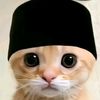 rasya.rasit0