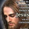 migueljerez836