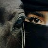 nouryakin005