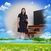 lienlai733