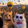 ꧁༺Cappadocia༻꧂