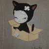 kemedi56