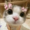 michu_michuvale