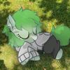 zarac_pon