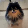 yeontan0143