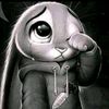 user4645246610827
