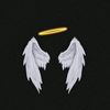 revan53r