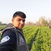 siddiquekhan2172