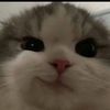 itsdody11