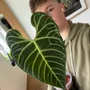 artur_i_rosliny