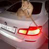 kamil.elihuseyinov