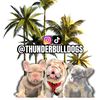 thunderbulldogs