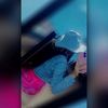 dianareyes65956
