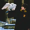 harrylontra