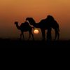 ghanem_001